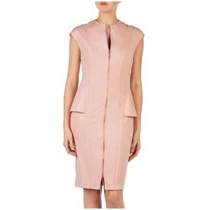Ted Baker Siona Seam Detailed Contoured Dress